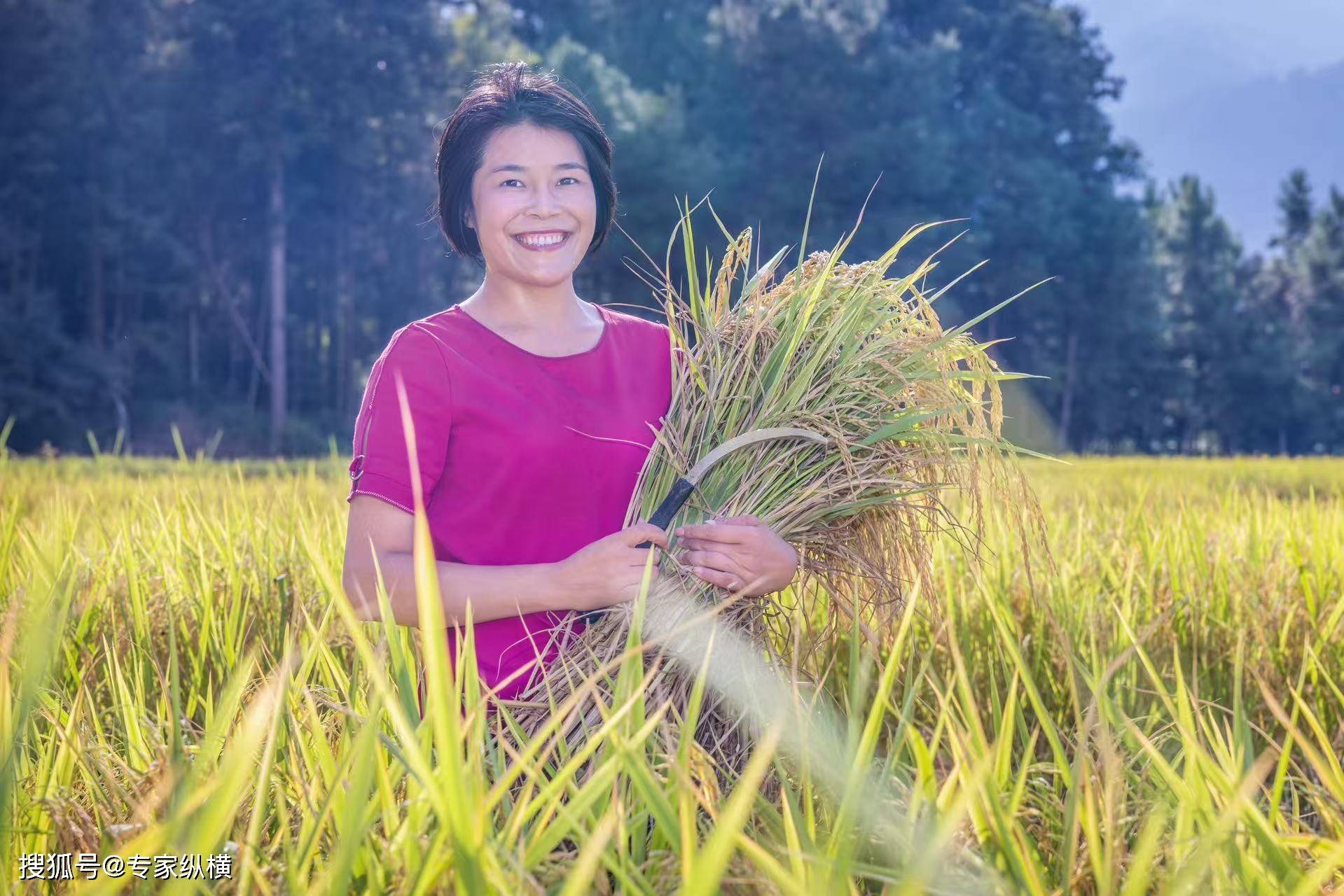 进农业生产“三品一标”培训班上的发言EVO视讯潇湘源头瑶山好米——在推(图2)